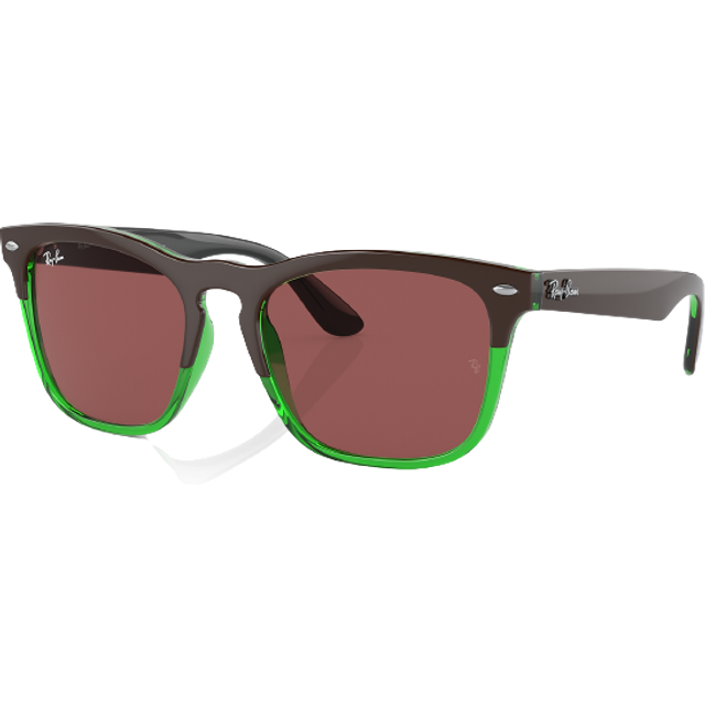 Ray-Ban Steve - RB4487 663469 5418