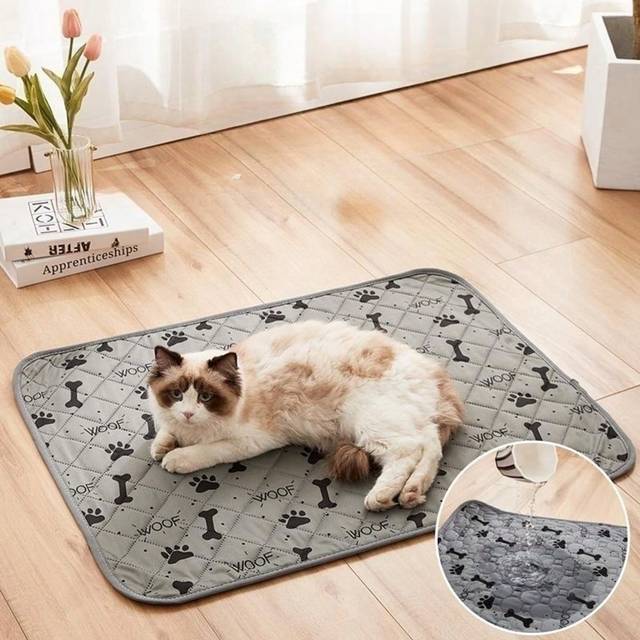 1 st. Tvättbar För Hundar , Återanvändbar Husdjur , Valp Med Snabb Absorberande , Vattentät Och Skridssäker Träning för husdjur - Ljusgrå (L,M,S,XL,XXL)