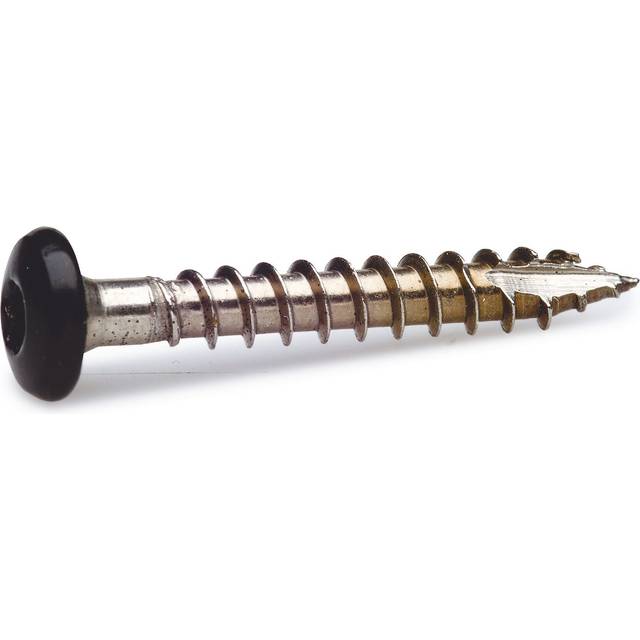 Rännkroksskruv 4,8x25mm Svart 100st Fast 285644