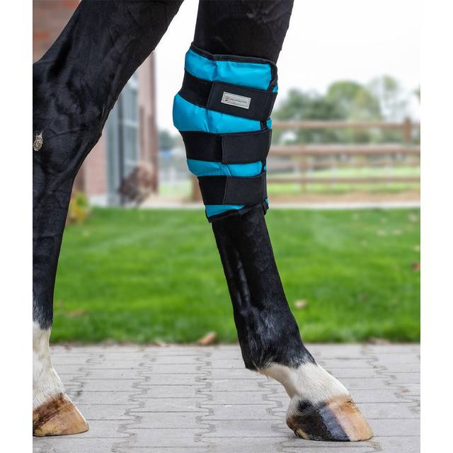 Cooling leg wraps for horses Waldhausen - Noir
