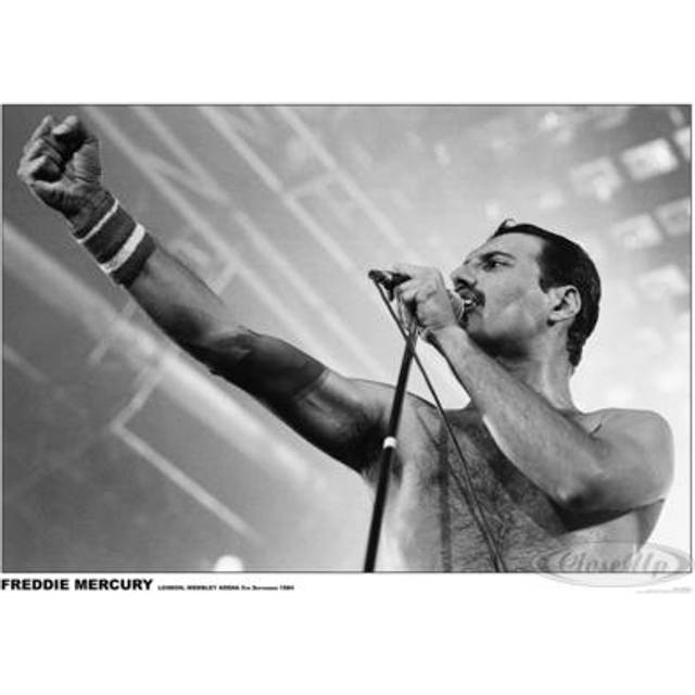 Queen Poster Freddie Mercury