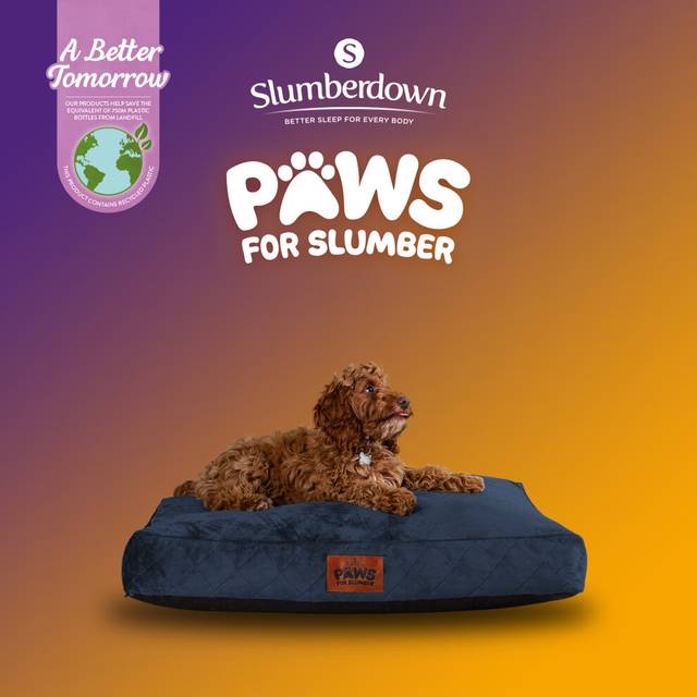 Paws For Slumber Luxury Grey Pet Bed-Medium