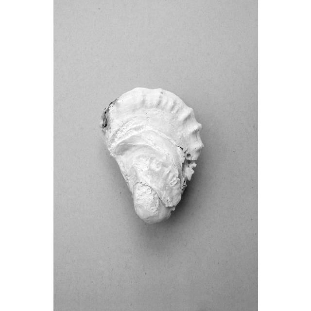 Malerifabrikken - Poster Oyster 2 - Grå