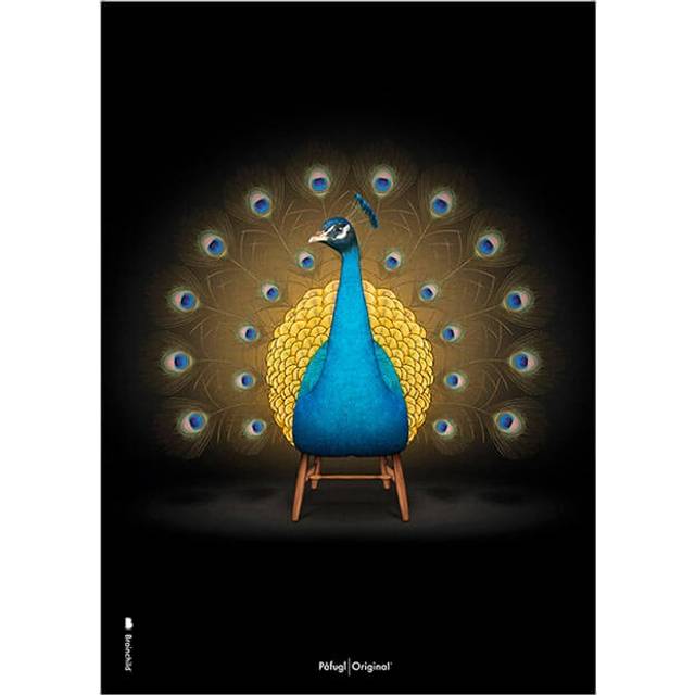 Plakat med Påfugl - Sort Klassisk (50x70)