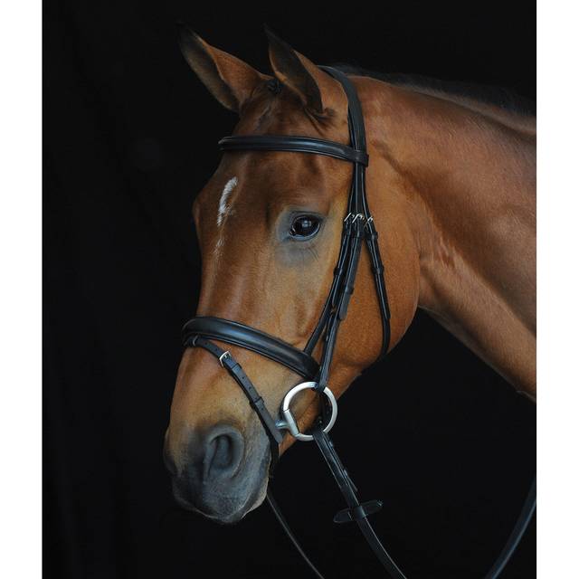 (Pony, Brown) Collegiate Comfort Crown Padded Raised Flash Bridle