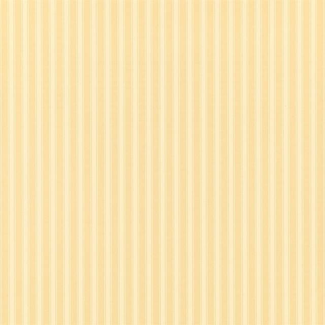 New Tiger Stripe - DCAVTP104