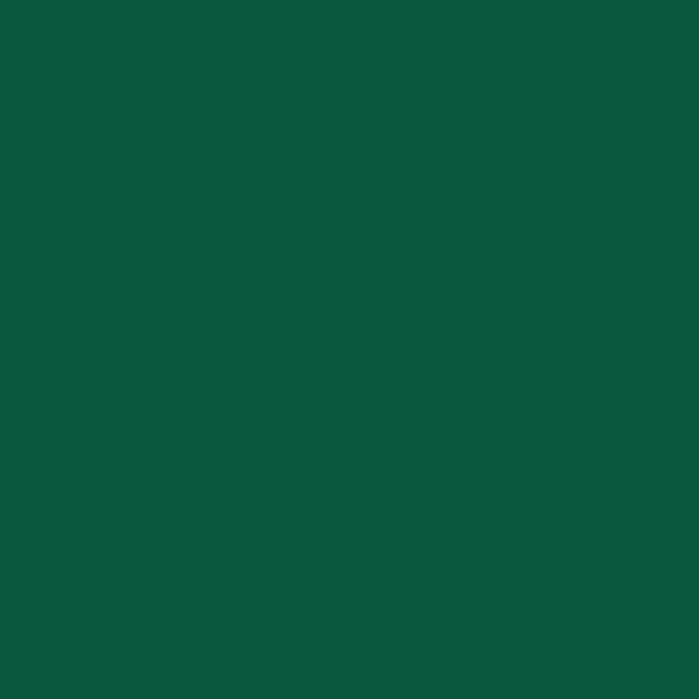Campus Acrylics 100 ml 819 Sap green