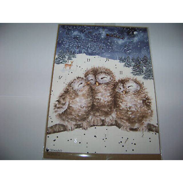 Wrendale Designs ‘Following Yonder Star’ Owls Advent Calendar