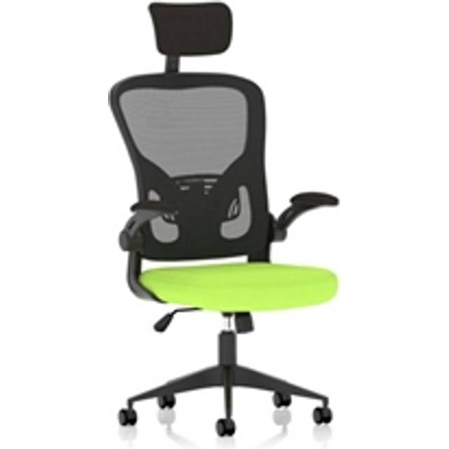 Ace Executive Fabric Seat Myrrh Green Mesh Chair With Folding Arms