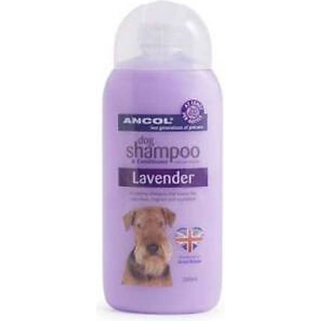 Ancol Lavender Dog Shampoo 200ml - Dog Grooming - Dog Supplies & Accessories | ePaws