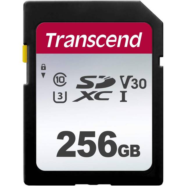 256GB SDXC 300S Memory Card UHS- I, C10, U3, V30, 4K, Full HD, Up to 95/40 MB/s (Ideal for Digital Cameras) with Frustration Free Packaging