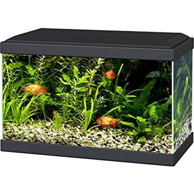 Ciano Aqua 20 Aquarium with LED Lights & Filter BLACK