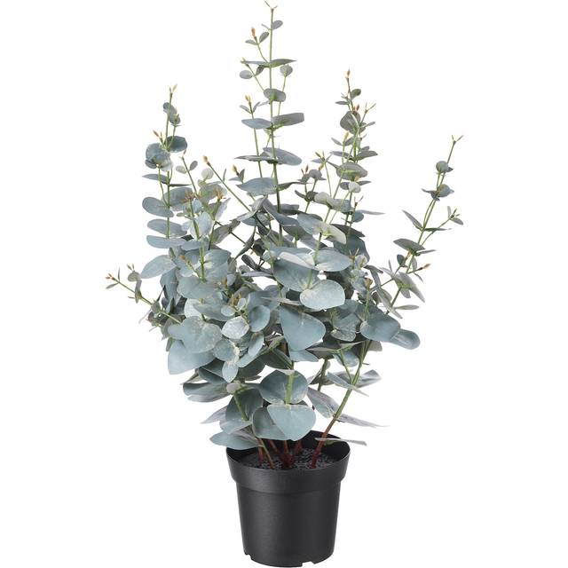 FEJKA konstgjord krukväxt, inom-/utomhus eukalyptus, 15 cm