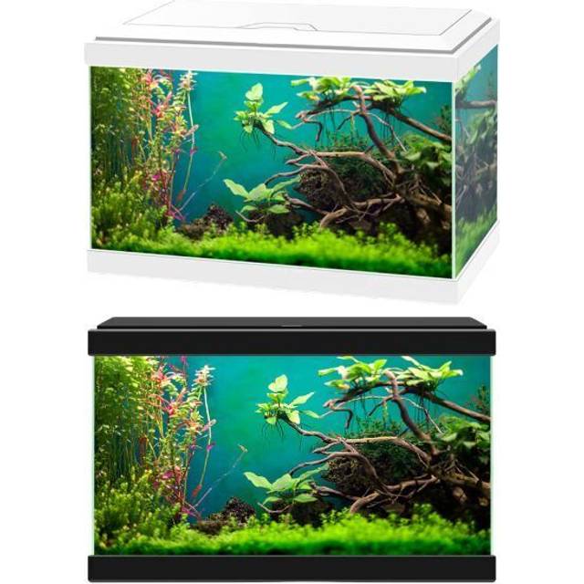 Ciano Aqua 20 Classic Aquarium Fish Tank - White