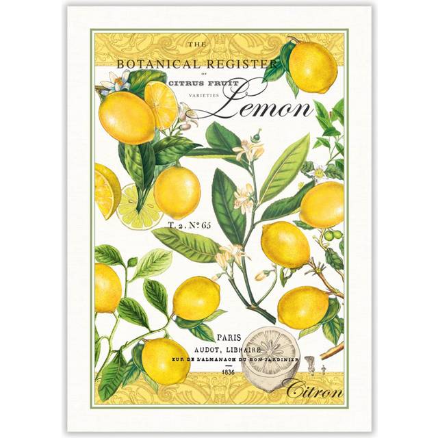 Michel Design Works Kitchen Dish Towel Lemon Basil