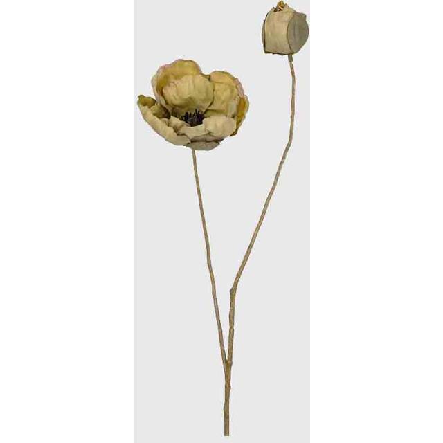 Vallmo Grönbeige 55cm, Konstgjord