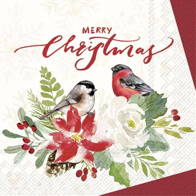 Merry Christmas Robin Printed Lunch Paper Napkin 20-Pack Disposable 3-Ply