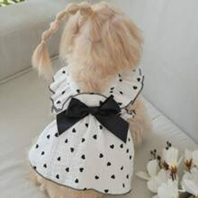 SHEIN Valentine&#39;s Day 1pc Heart Print Bow Decor Pet Dress