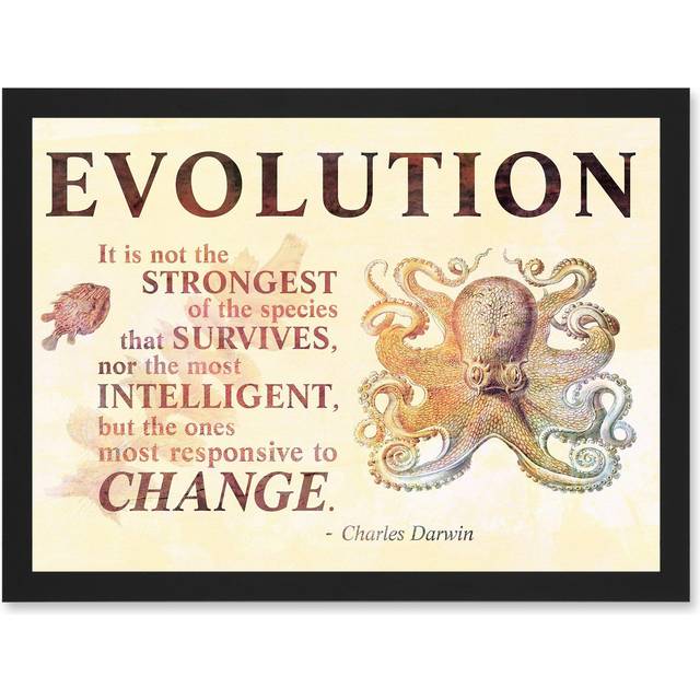 Evolution Darwin Responsive Change Strongest Quote Octopus A4 Artwork Framed Wall Art Print - Black - One Size