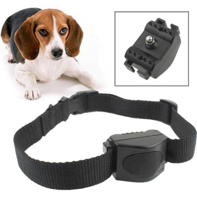 Antiskällhalsband med Automatisk Vibration