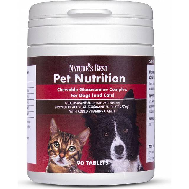 Omega 3 For Dogs And Cats