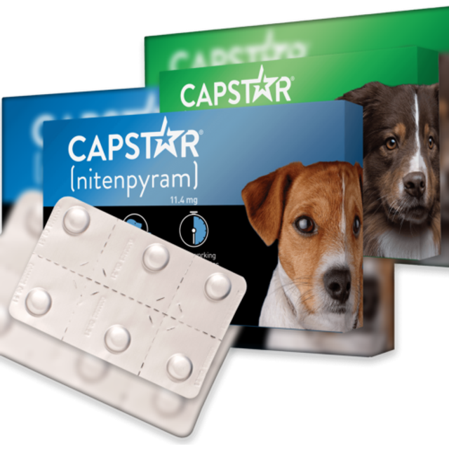 (57Mg) Capstar Dog Cat Flea Tablets Treatment 1 Pack