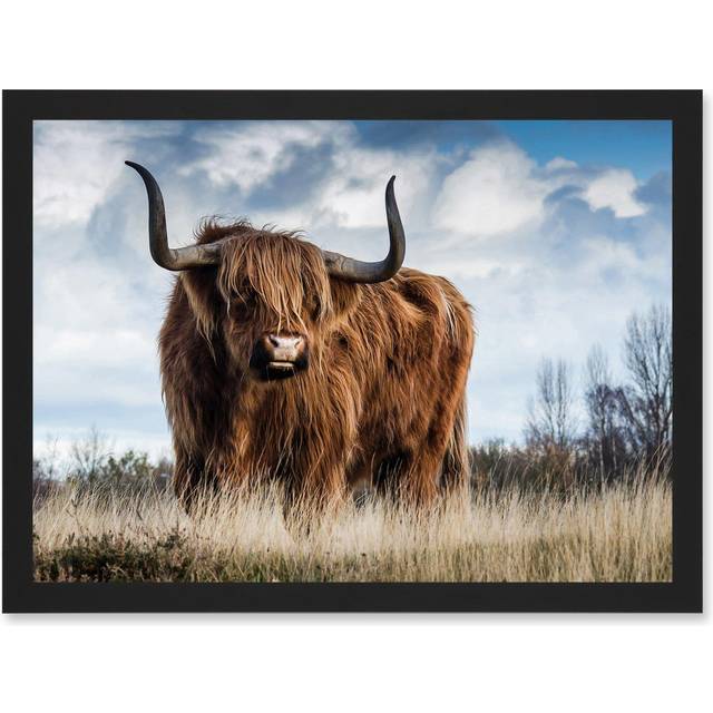 Scottish Highland Cow Hairy Coo Photo Artwork Framed Wall Art Print A4 - Grey - One Size
