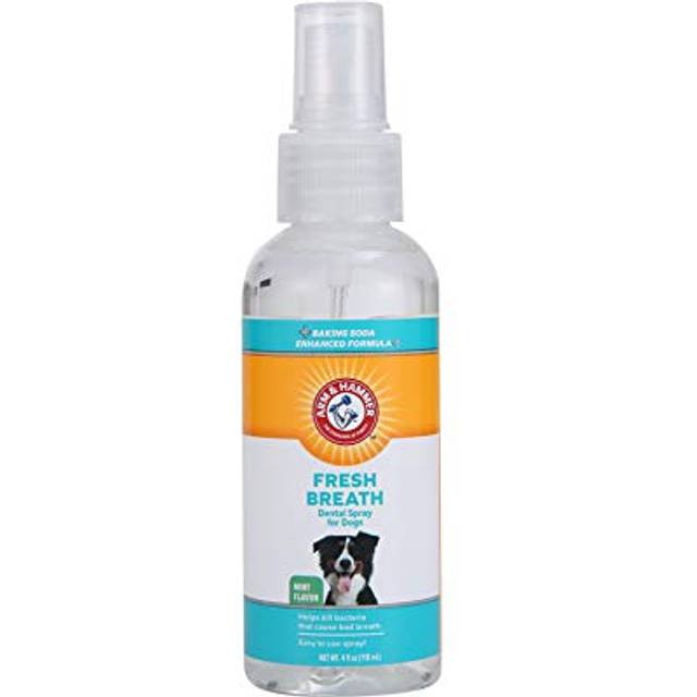 Fresh Breath Dental Spray, Mint