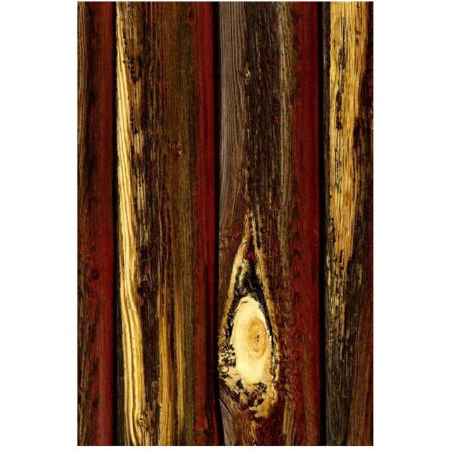 Tree Bark Poster Print by Don Hammond, 22 x 34 - Large
