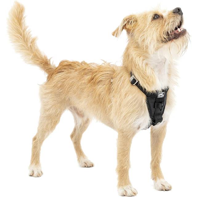 Kurgo Dog Harness, Car Harness for Dogs, Front D-Ring for No Pull Training, Includes Dog Seat Belt Tether, Tru-Fit Harness, X-Small, Black