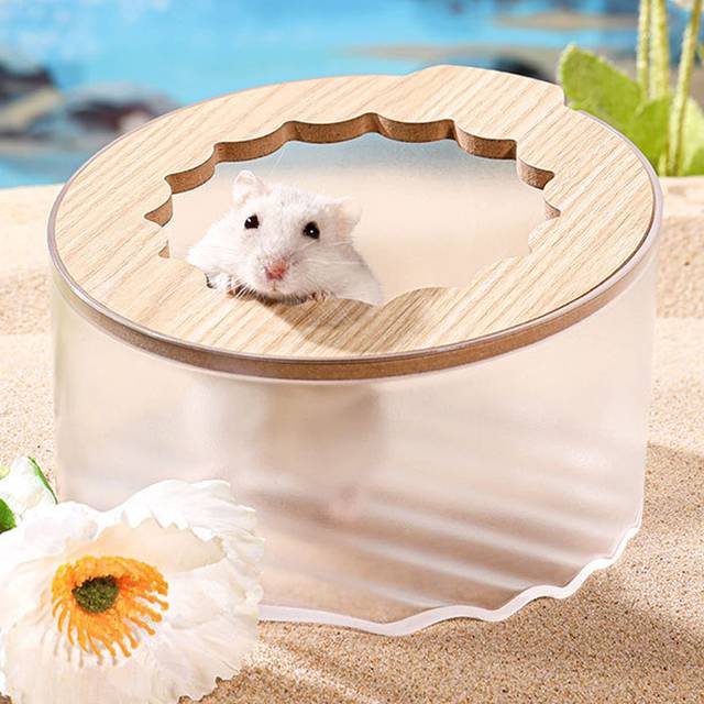 Small Animal Bathroom & Digging Room - Easy to Clean  for Dwarf Hamster  Syrian Hamster  Gerbil and Other Small Pets