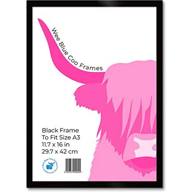 Single Picture Frame - Black (45.5cm H x 33cm W)