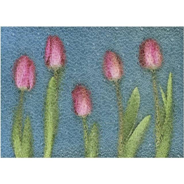 Pink Tulips Poster Print by Deddeda, 17 x 12