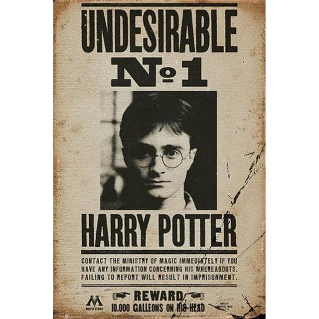 Harry Potter Poster Undesirable No. 1