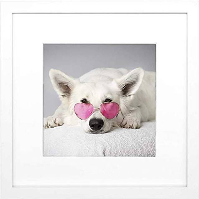 Golden State Art  12x12 Frame  Made of Solid Wood - White Mat for 8x8 Photos - Tempered Glass  Wall Display - White  1 Pack