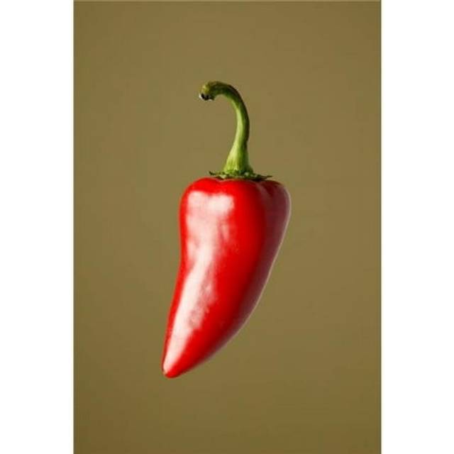 Red Chili Pepper Poster Print by Darren Greenwood, 22 x 32 - Large