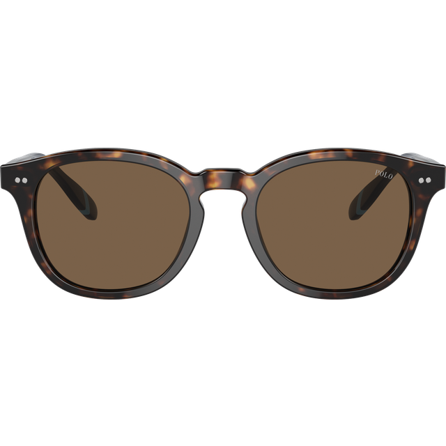 Polo Ralph Lauren Man PH4206 500373 Solglasögon Acetat Sköldpadda Brun Pantor Normal