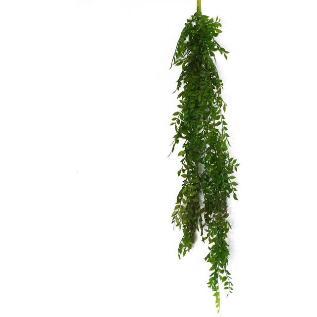100cm Hanging String of Pearls Fern Plant Dark Green