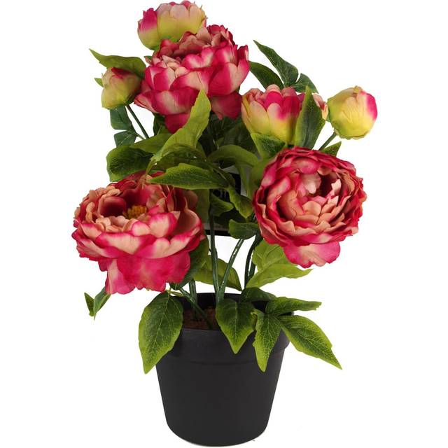 Artificial Peony Plant Flowers Flowering Plant Pink - Dark Pink (52cm H X 30cm W X 30cm D)