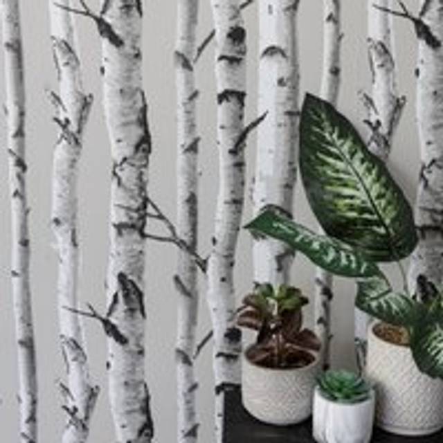 nu wallpaper BIRCH TREE peel & stick wallpaper (52.07cm x 5.49m)