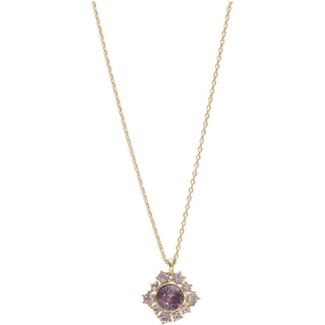 Emily Halsband - Iris