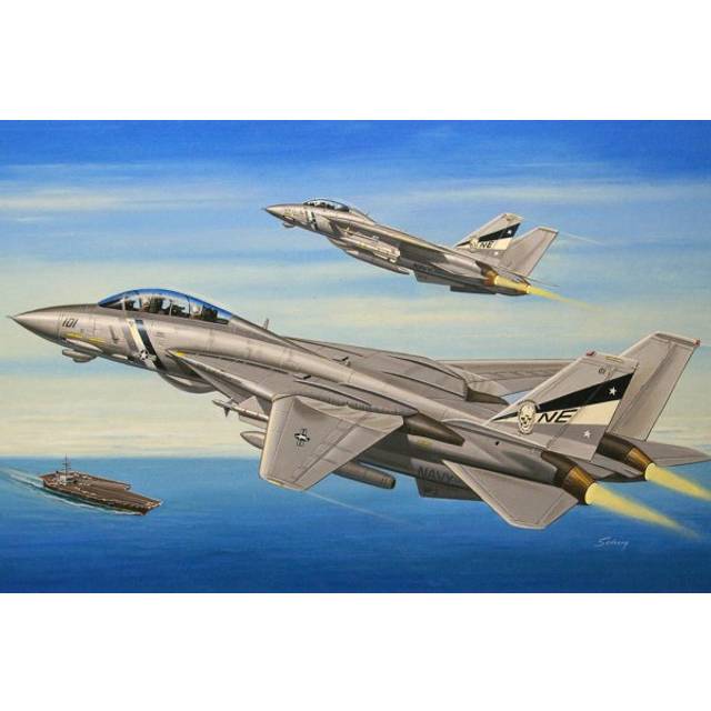 HBB80278 - Hobbyboss 1:72 - F-14d Super Tomcat