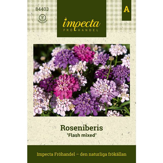 Roseniberis Flash Mixed