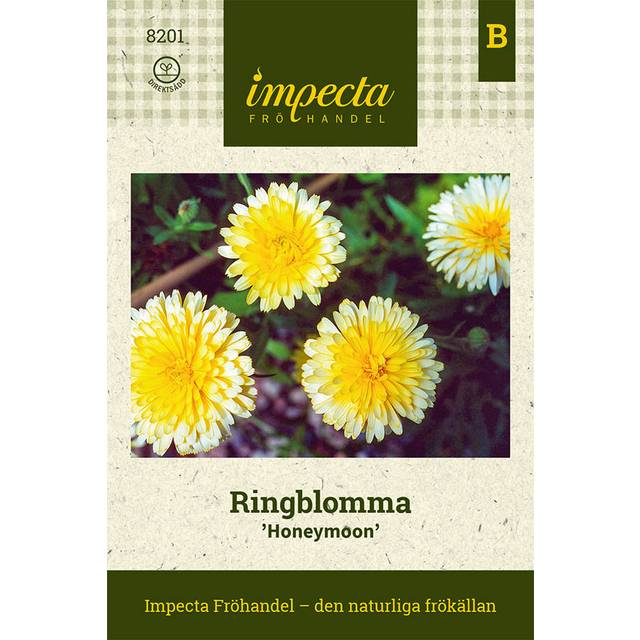 Ringblomma, Honeymoon