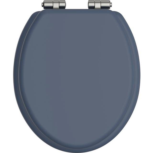 Toilet Seat With Soft Close Vintage Gold Hinges - Blue - One Size