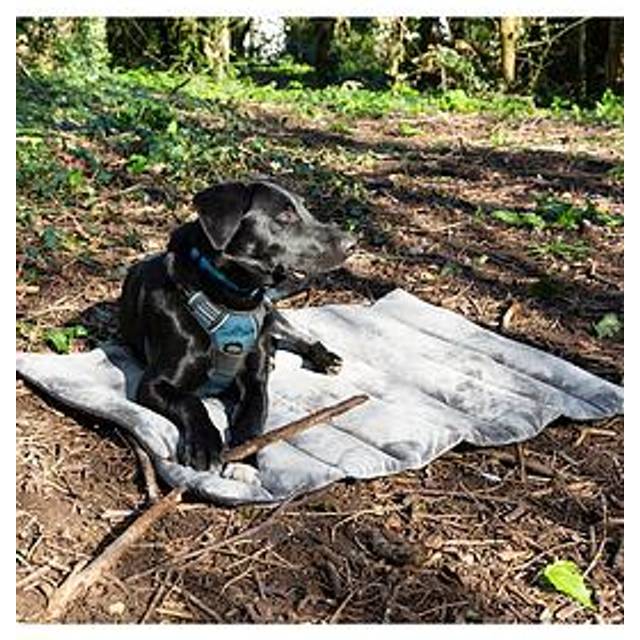 Scruffs Roll Up Travel Pet Bed - Storm Grey