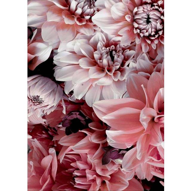 Malerifabrikken - Poster Opulent 8 - Rosa
