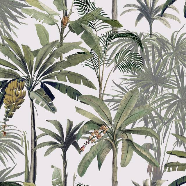 Tropical cream green banana leaves wallpaper botanical textured paste the wall