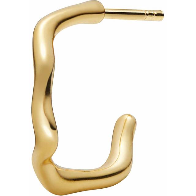 Branch Hoop