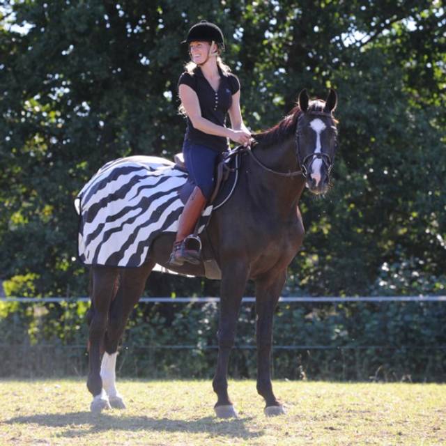 Bucas Ridedækken Zebra